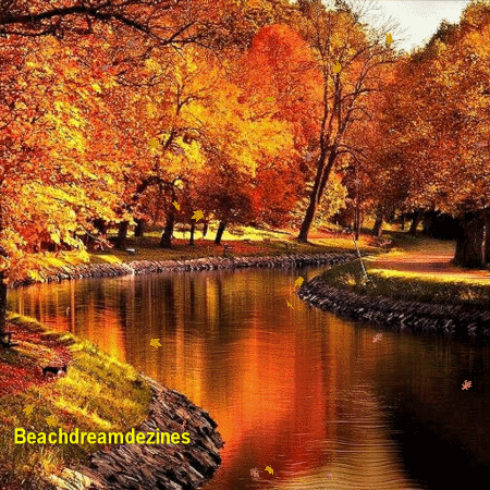 Animated GIF | Autumn scenery, Beautiful landscapes, Scenery
