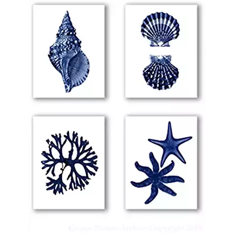 Navy Blue Beach Wall Art Decor Set of 4 Unframed Prints Coastal Home Decor