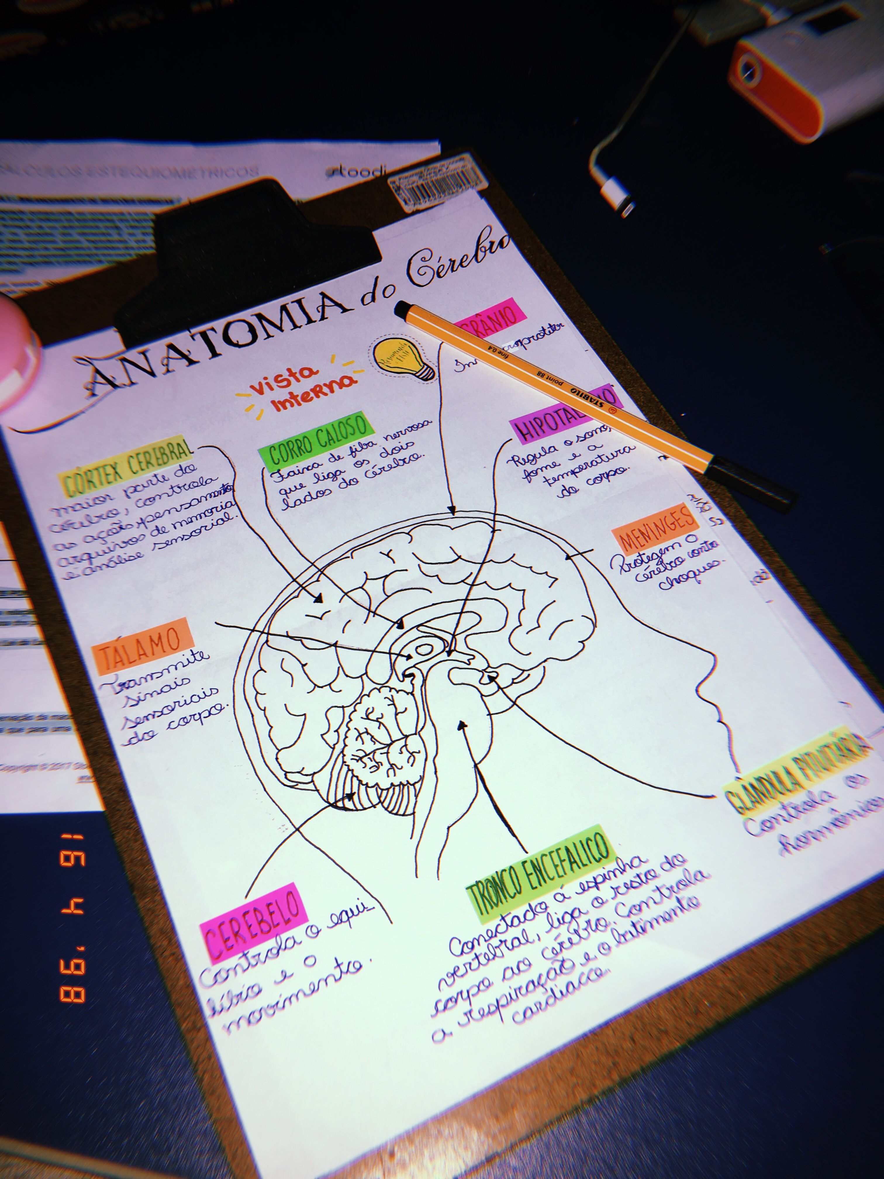 cerebro medical term cerebro medical term