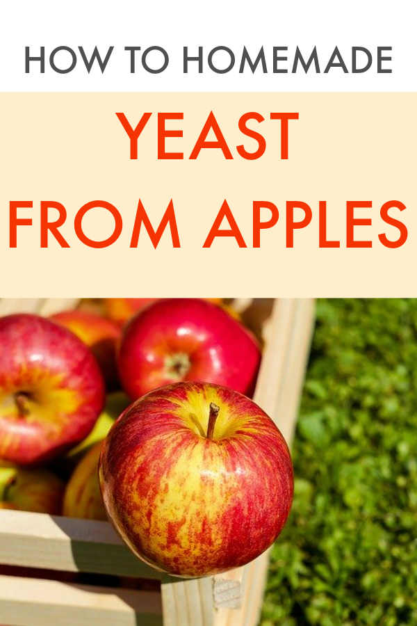 How To Make Yeast At Home From Flour, Fruits, Vegetables [Kitchen