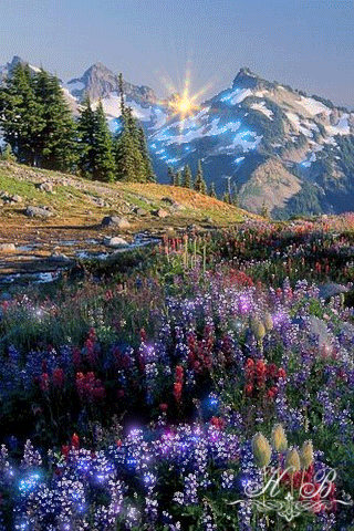 Image result for gif beautiful landscapes gif