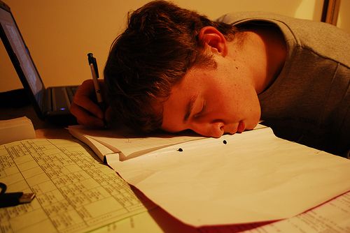 Essay sleep disorders
