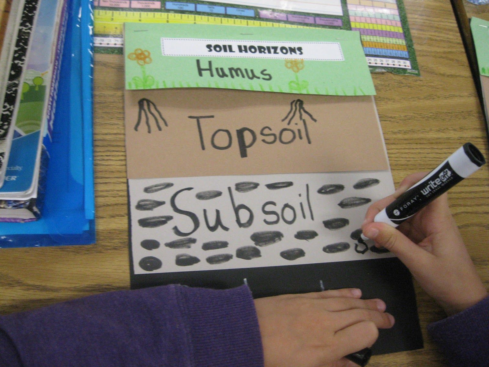 worksheet Soil Layers Worksheet third grade thinkers science a soil study layers of soil