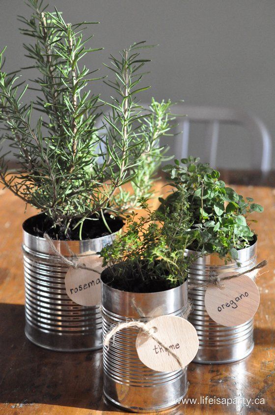 14 Sachen die Sie für jedes Ihren Grünanlage tun sollten Seite 2 von 3 #dinge #garten #ihren #seite #sollten #herbsgarden