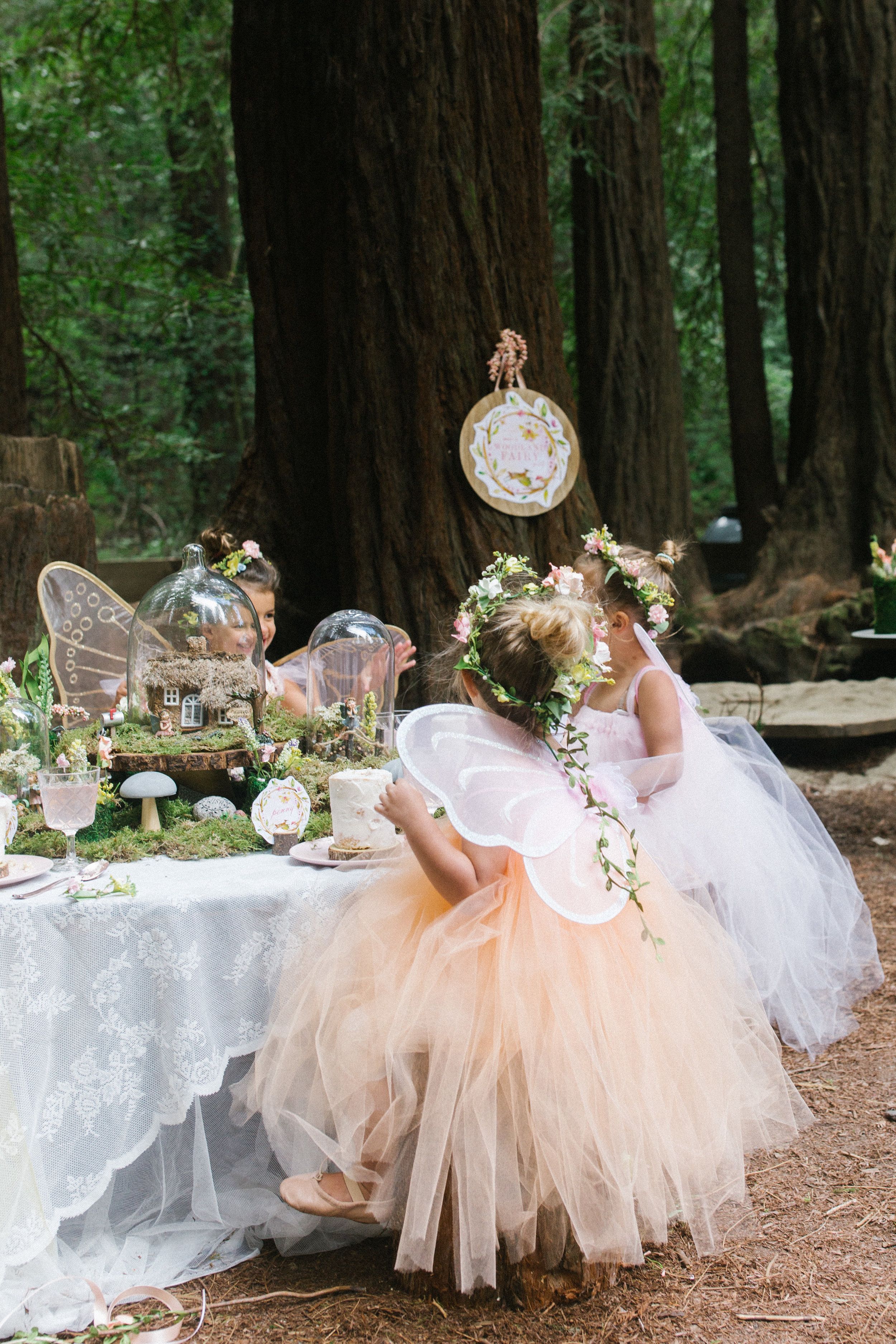 Woodland Fairy Party