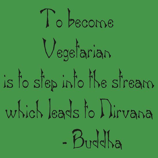 Albert Einstein Vegetarian Quote | quoteko.com #vegetarianquotes Albert Einstein Vegetarian Quote | quoteko.com #vegetarianquotes Albert Einstein Vegetarian Quote | quoteko.com #vegetarianquotes Albert Einstein Vegetarian Quote | quoteko.com #vegetarianquotes