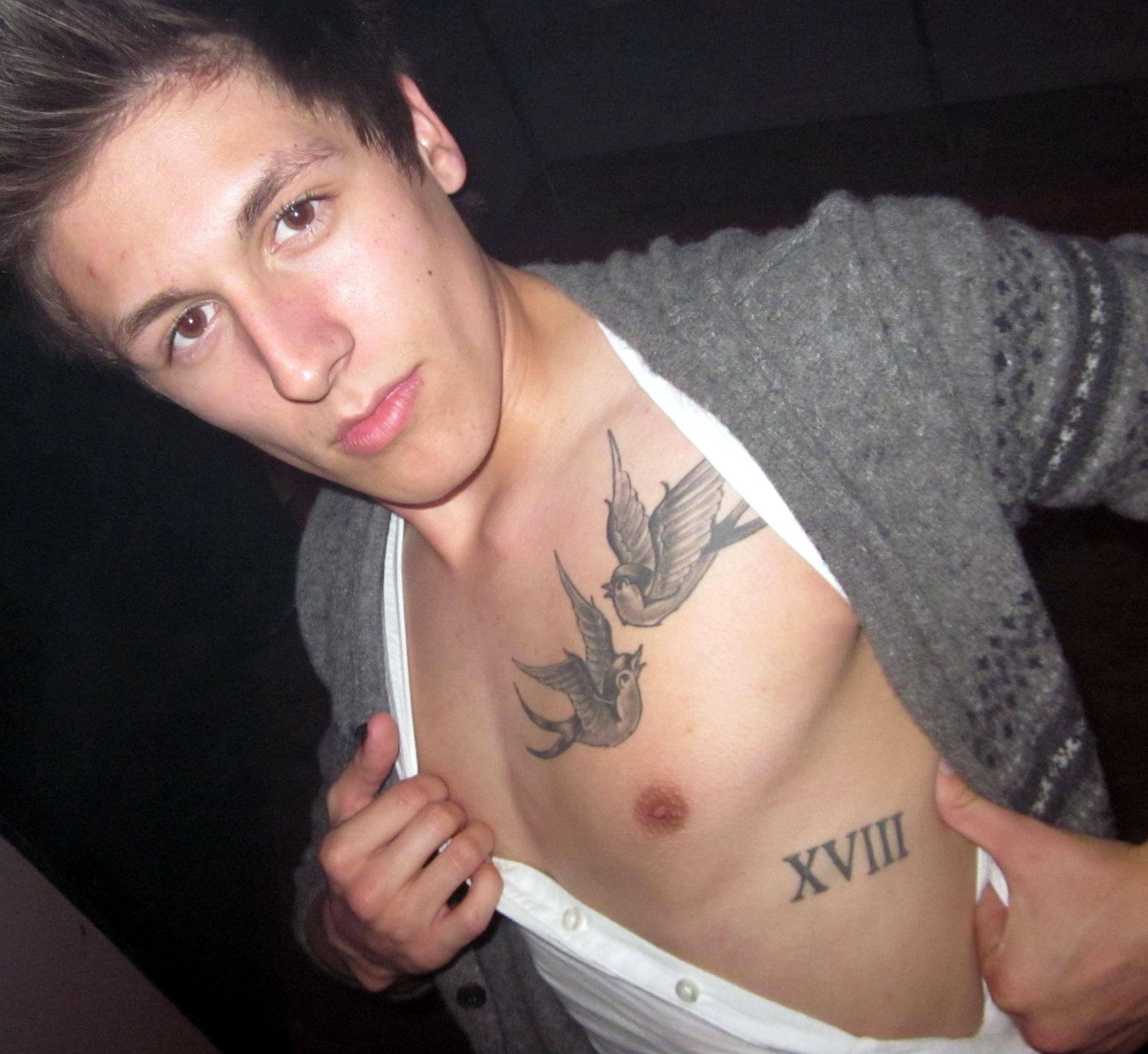 Male Chest Tattoo Bird Chest Tattoo Birds Bird Tattoo Men Tattoos