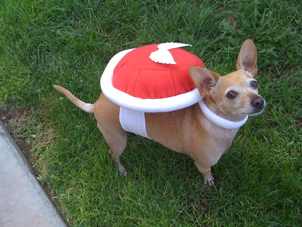 Image result for dogs dressed as nintendo