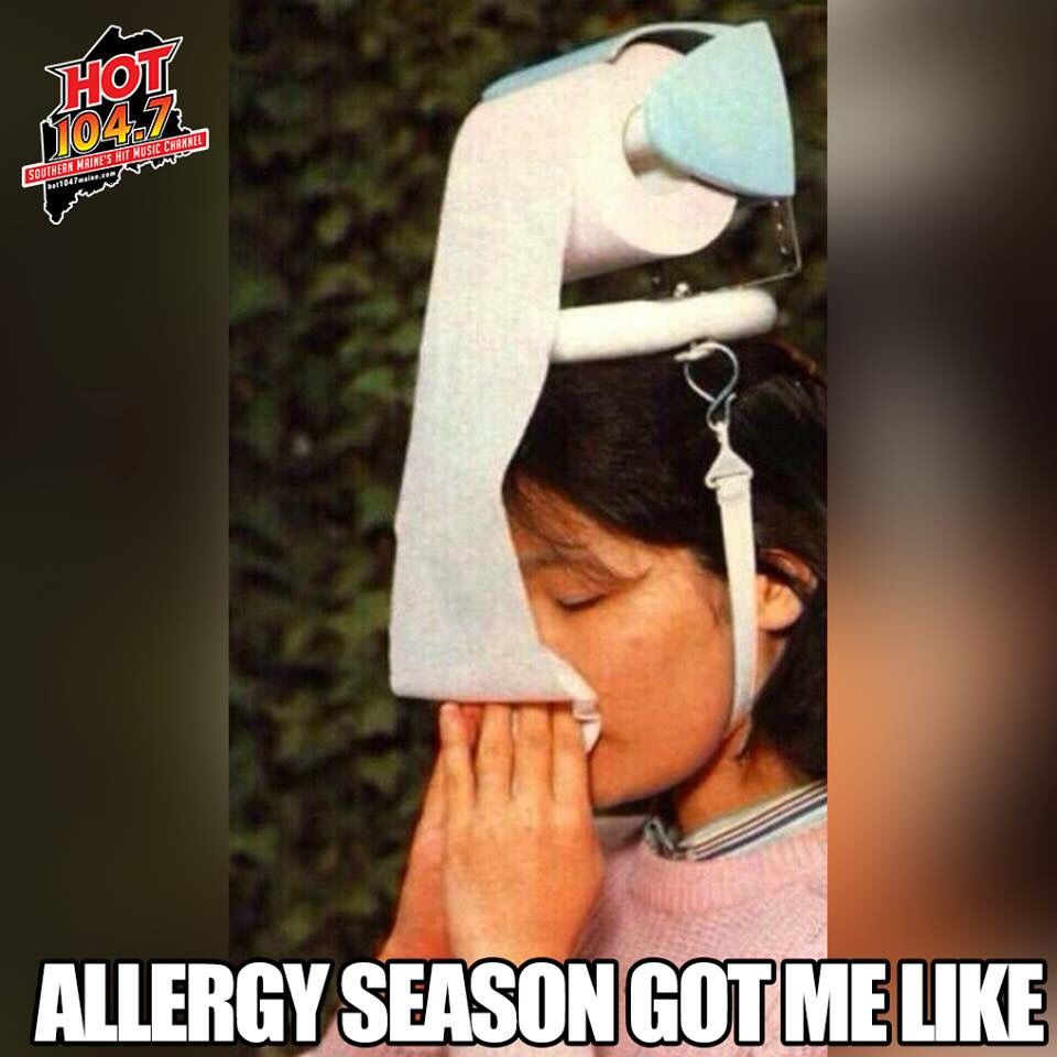 This Is Me Allergies Allergies Funny Allergy Memes This Is Me Allergies Allergies Funny Allergy Memes