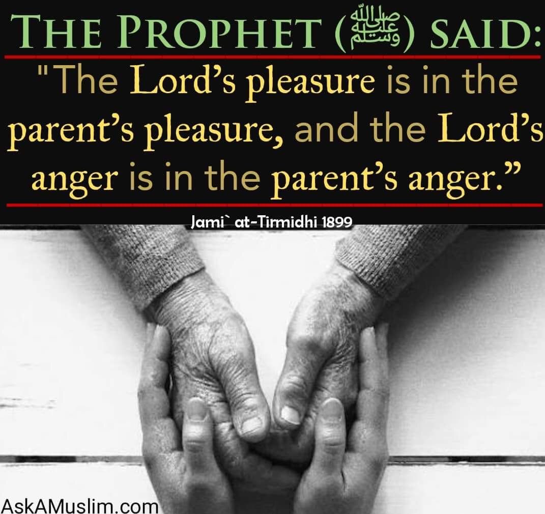 How to properly do prayer, so as not to anger Allah How to properly do prayer, so as not to anger Allah