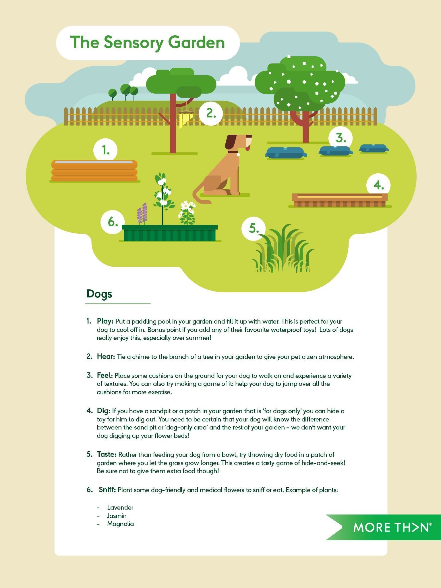 Dog Garden Ideas Backyard Dog Area Backyard Ideas Dog Friendly dog-garden-ideas-backyard-dog-area-backyard-ideas-dog-friendly