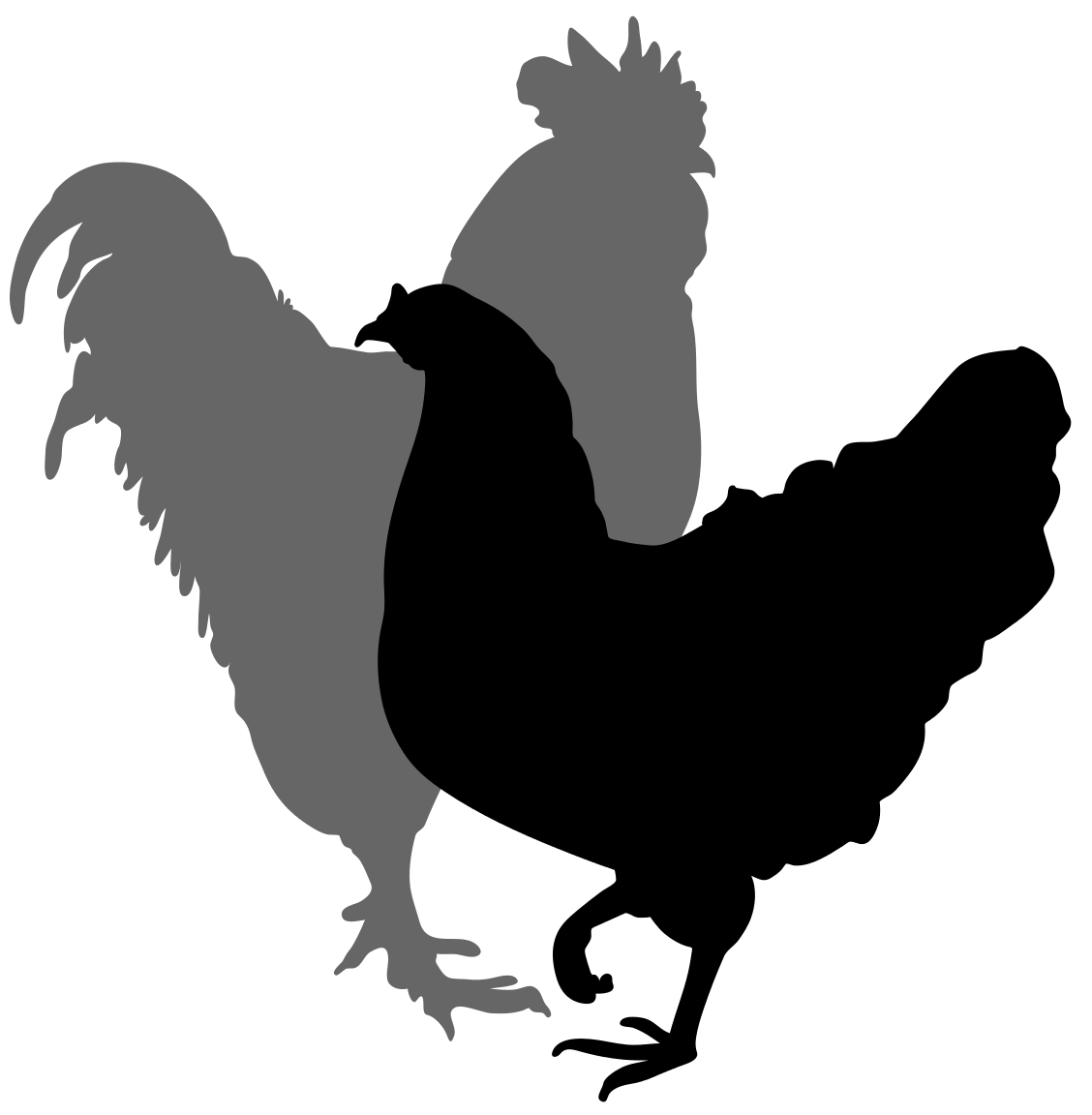 Download File:Rooster and hen silhouette 02.svg | Rooster silhouette, Animal line drawings, Bird silhouette