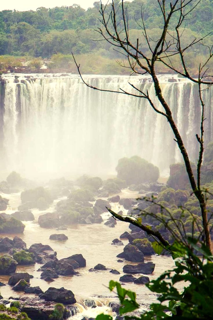 O que fazer em Foz do Iguaçu: as cataratas do Iguaçu são uma das Maravilhas da Natureza, mas há muito mais para conhecer na cidade. #viagem #FozDoIguaçu #natureza #cataratas #Brasil Wanderlust Photography, Nature Beauty, Nature Art, Puerto Iguazu, Disneyland, Amazing Nature Photography, Tour Around The World, Beautiful Beaches, View Photos