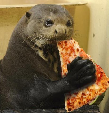 Pizza otter Pizza otter