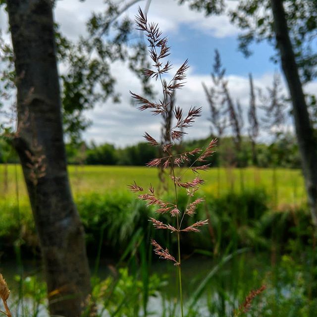 Spreewald singles