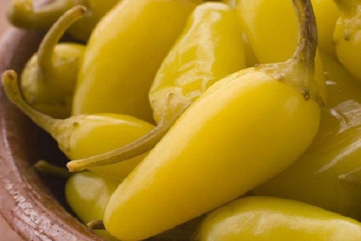 طريقة عمل مخلل الفلفل الحار Stuffed Peppers Stuffed Jalapeno Peppers Pickled Jalapeno Peppers