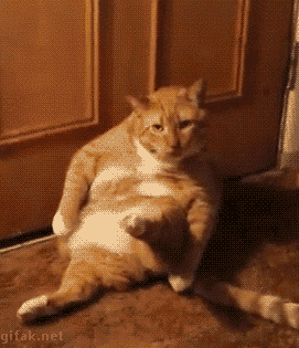 Sign in Trouble of a fat cat 😃 - Allie Mckenzie - Sign in Trouble of a fat cat 😃 - Allie Mckenzie -