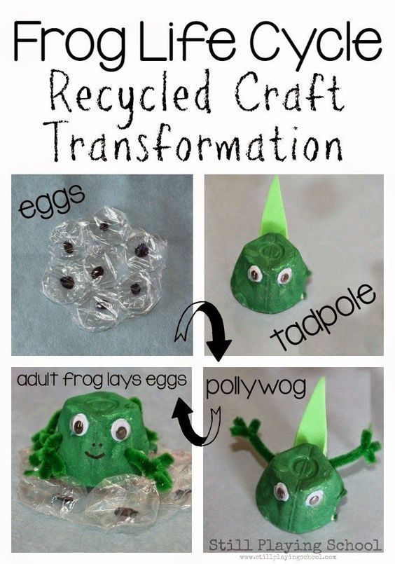 Forg Life Cycle out of Recycled Materials!! This recycled craft is perfect for ...
