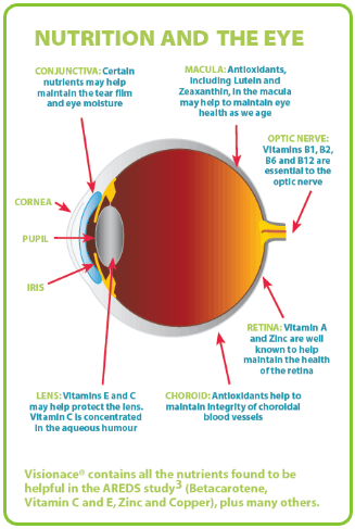 Nutrition Is Important For Eye Health Eyecarehealth Nutrition Is Important For Eye Health Eyecarehealth