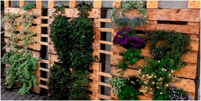 16 Fresco Jardin Vertical Con Palets Imagen