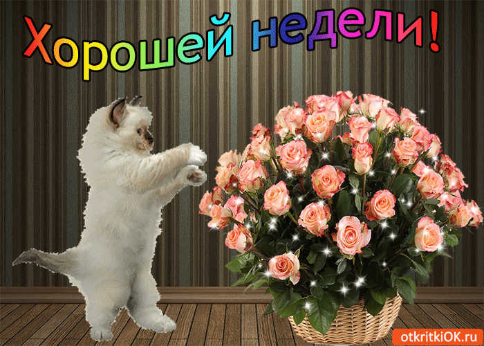 Хорошей недели гифы, красоте жизни картинки