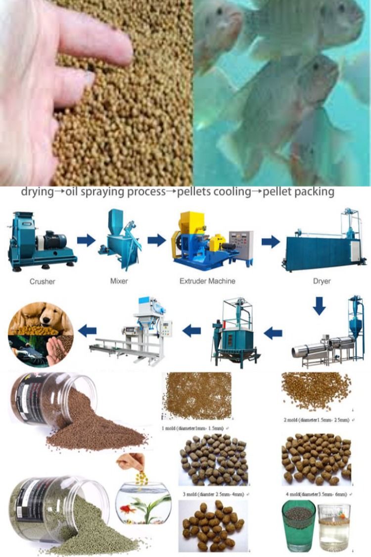 Making Fish Feed Pellets By Fish Feed Extruder Fish Feed Tilapia Fish Farming Fish Farming