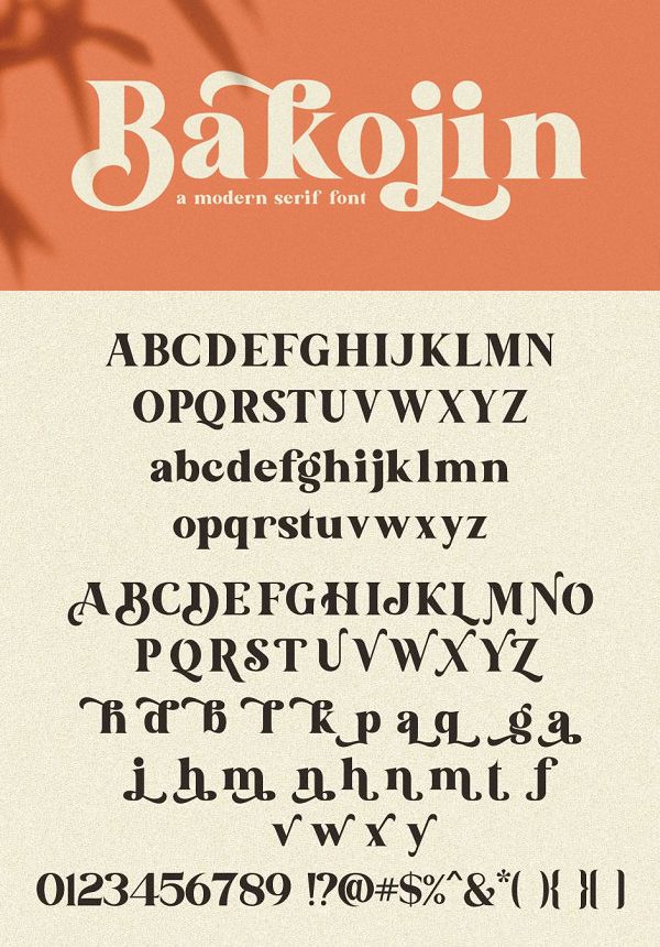 Bakojin Modern Serif Font Best Sans Serif Fonts, Bold Serif Fonts, Elegant Serif Fonts, Modern Serif Fonts, Font Design, Graphic Design Fonts, Lettering Design, Custom Logo Design, Typography Alphabet