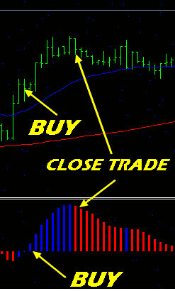 Can forex card be used for online transactions