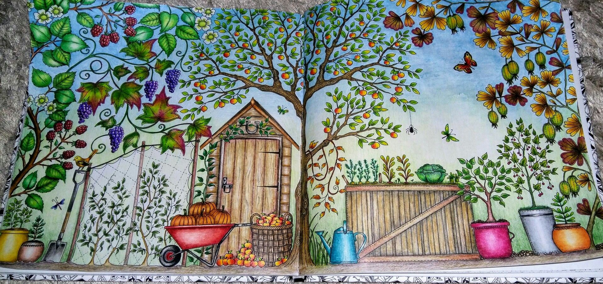 Johanna Basford. Secret garden. Джоанна Бэсфорд. Таинственный сад