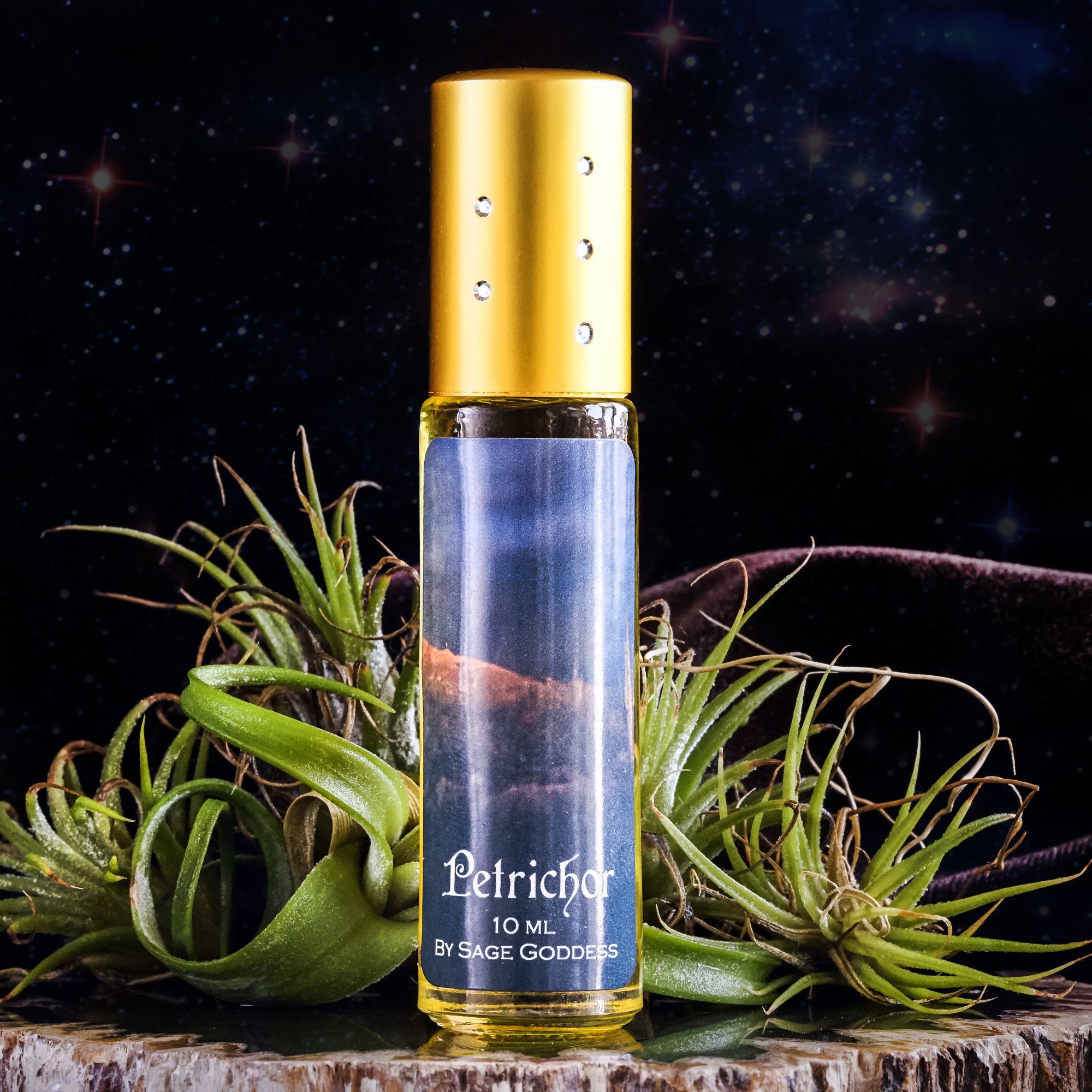 Petrichor Perfume to invoke the sensuality of desert rain Perfume