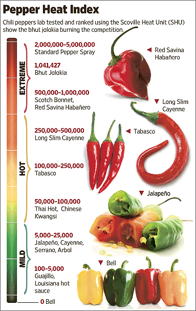 the world s chili pepper sauces and foods world s pepper chart