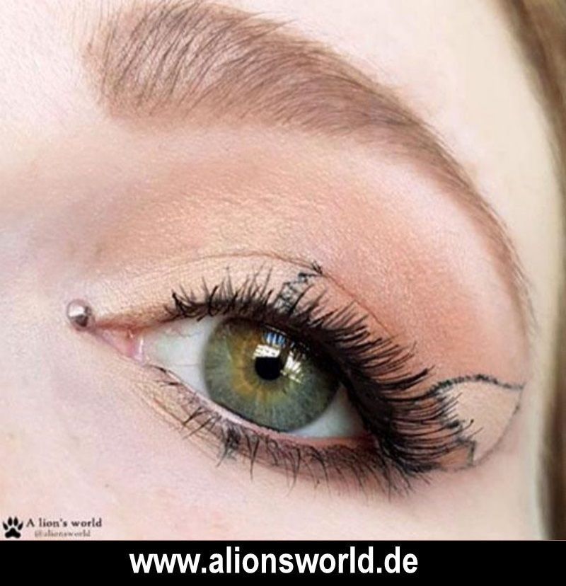 Pokemon Evoli Augen Pokemon Evoli Augen
