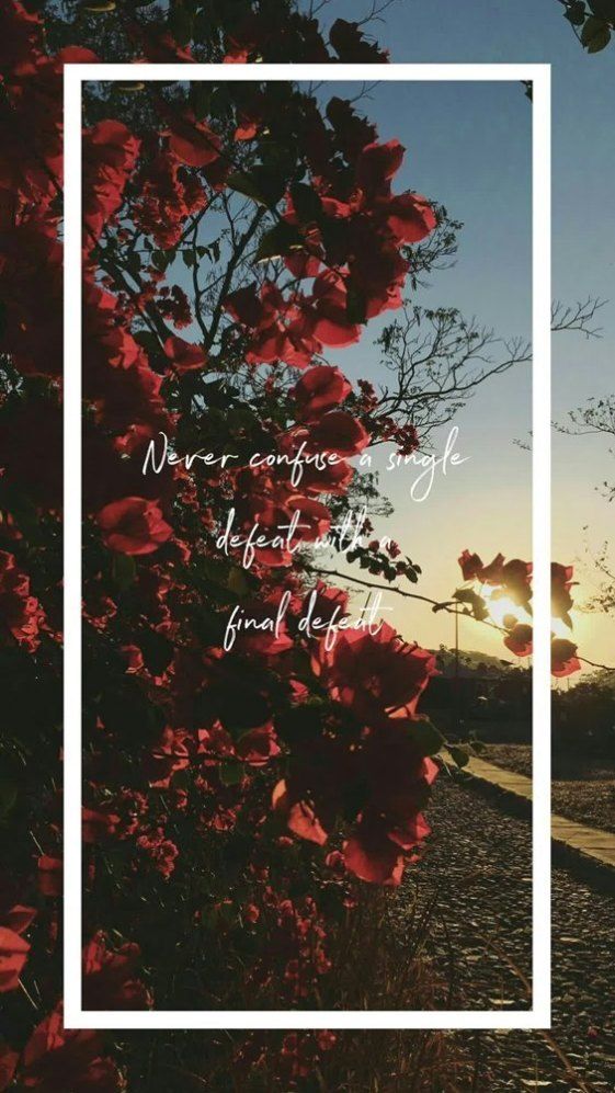 75 Motivational And Inspirational Quotes About Success In Life 068