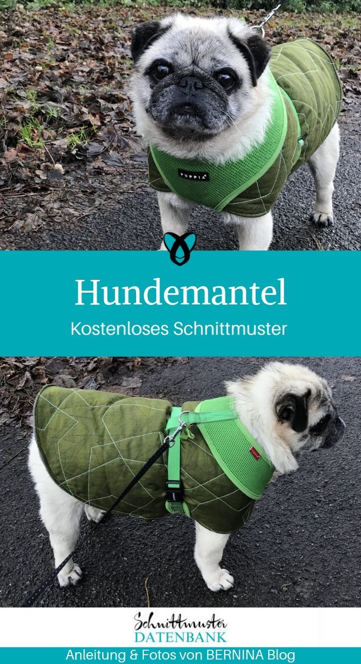Hundemantel