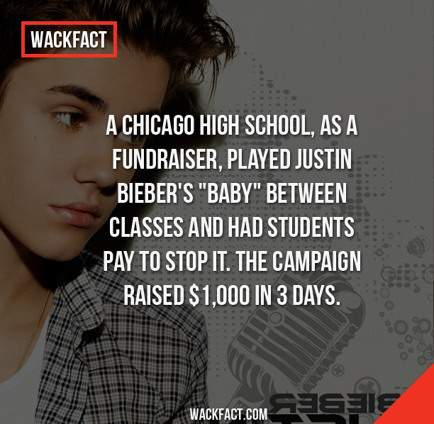 13 Wacky Facts Bizarre Facts Wtf Fun Facts Funny Facts Funny Quotes 13-wacky-facts-bizarre-facts-wtf-fun-facts-funny-facts-funny-quotes