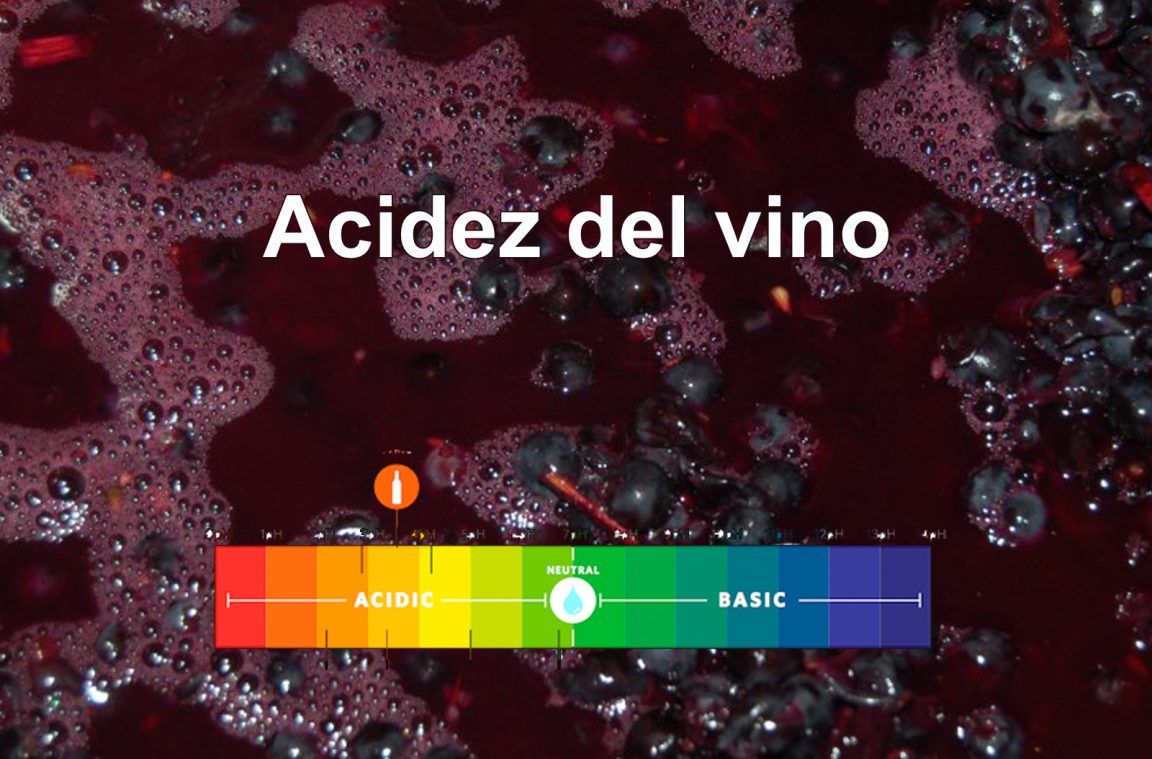 Pin En Artículos Sobre El Mundo Del Vino