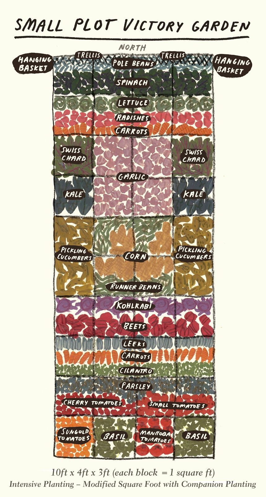 A Small Plot Victory Garden for 2020 - TouchWood Editions Lawn And Garden, Backyard Garden, Garden Plants, Garden Grid, Plant Mom, Plant Life, Farm Gardens, Outdoor Gardens, Home Vegetable Garden