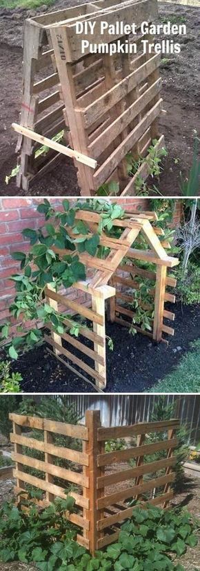 19 Erfolgreiche Wege zum Bauen von DIY-Gitter für Gemüse und Obst