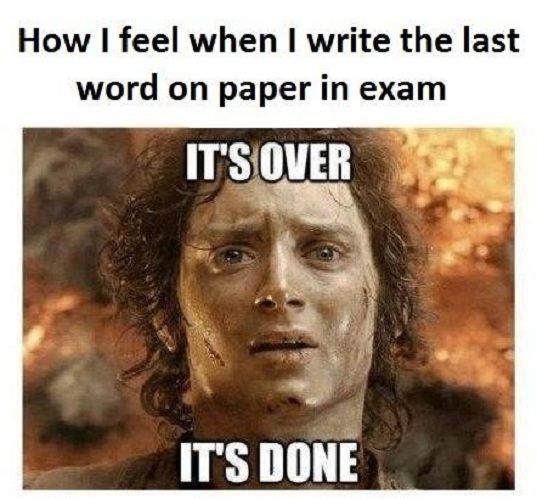 How Feel Exams Memes Humor Haha So True