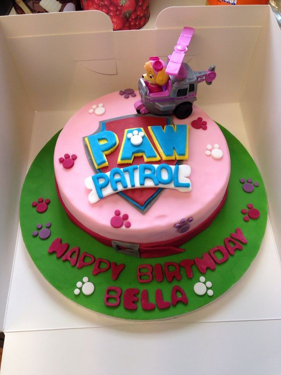 birthday skye paw patrol birthday skye paw patrol