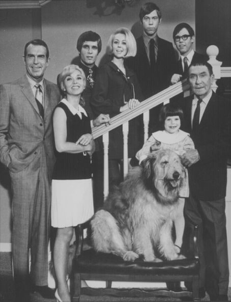 60s Sitcoms, Mike Douglas, Favorite Tv Shows, Favorite Movies, My Three Sons, Childhood Tv Shows, Vintage Tv, Vintage Photos, Vintage Stuff