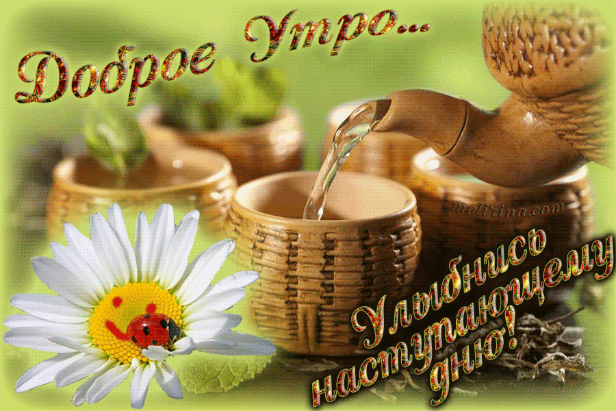 Смешных, открытки с добрым днем мужчине красивые