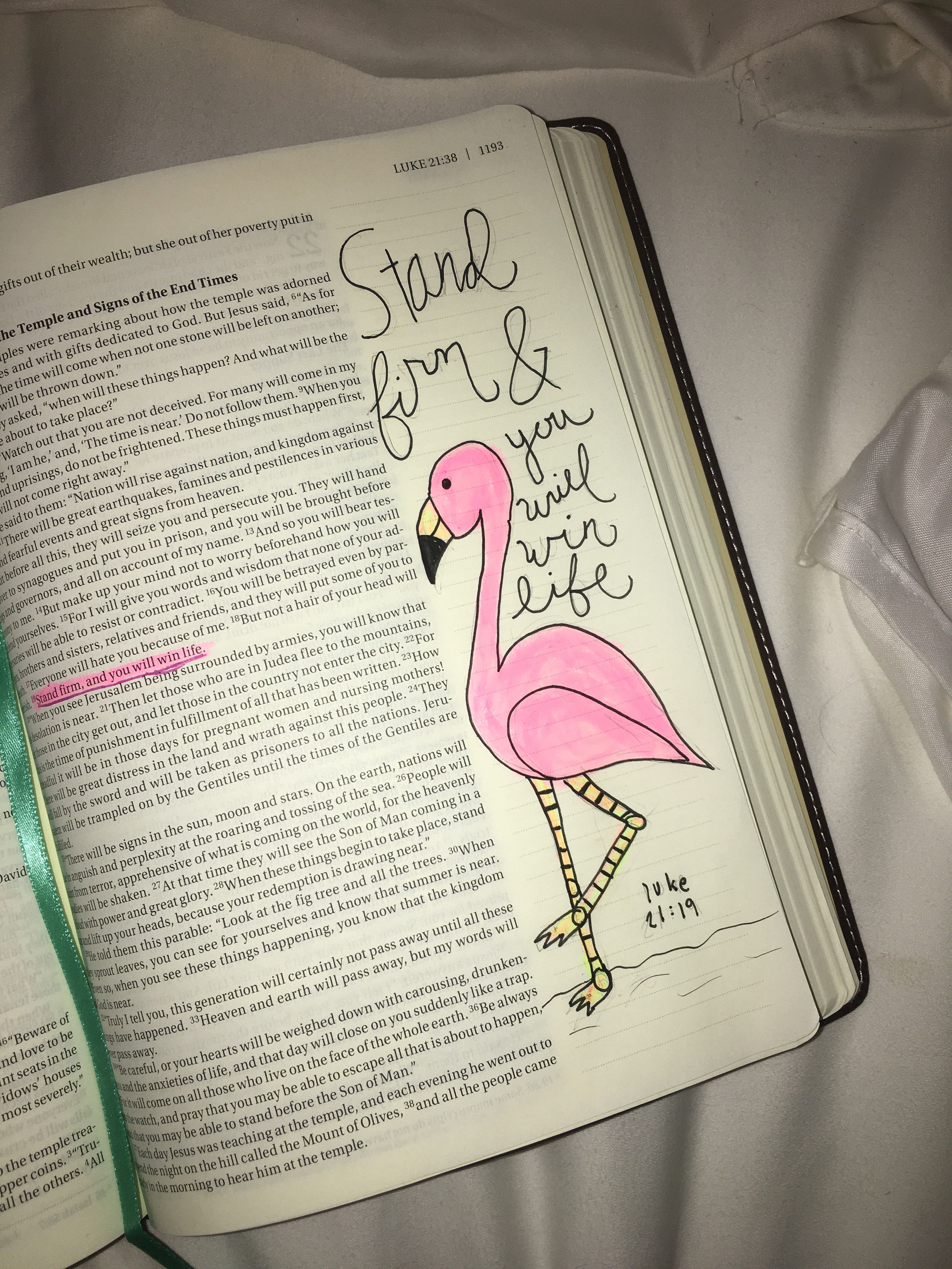 Pin On Bible Study pin-on-bible-study