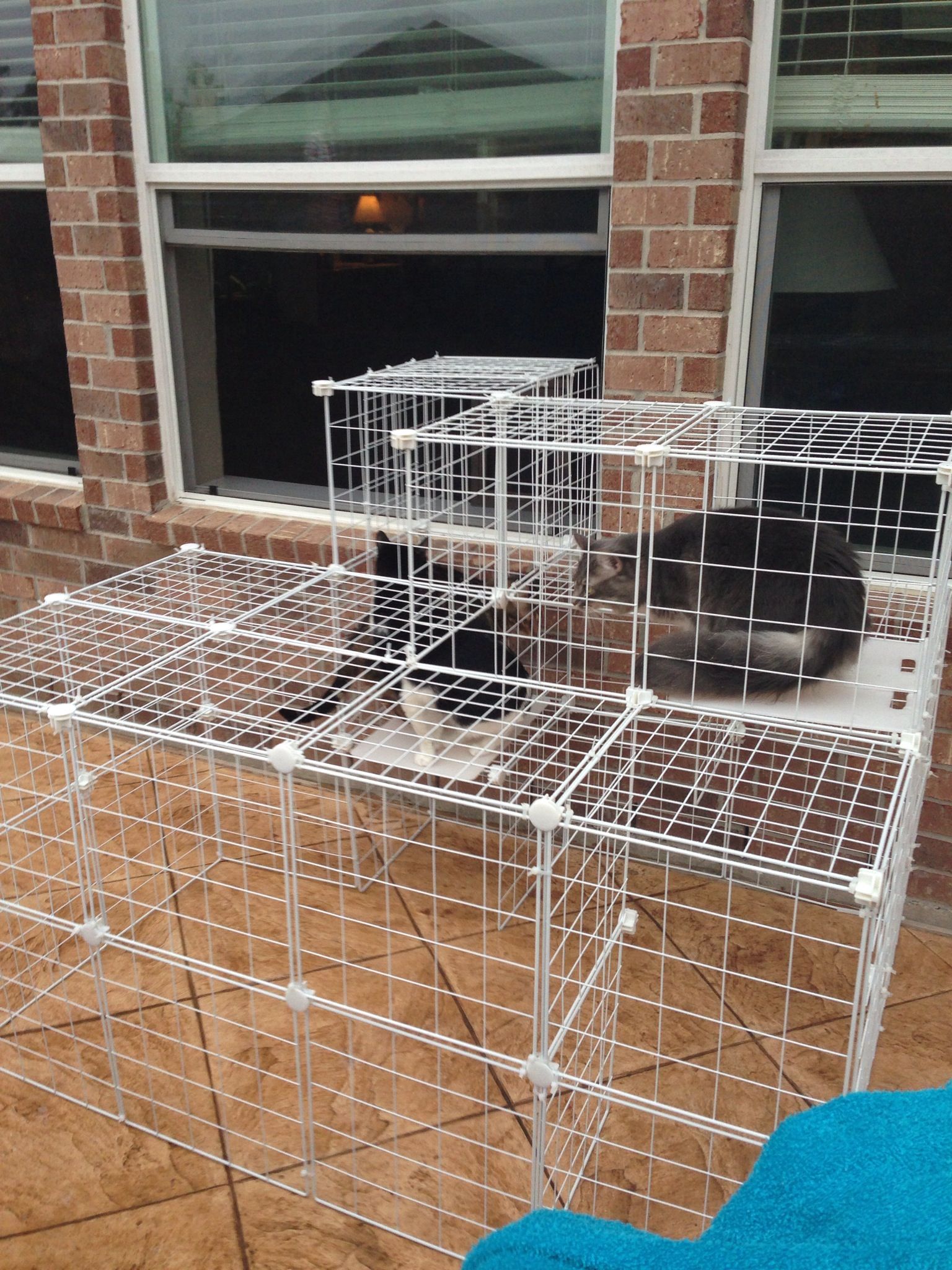 I did it! One made to order cat enclosure with window screen access