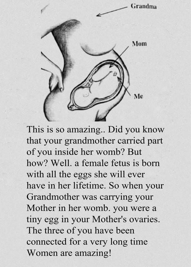 26 When Can My Baby Hear Me In The Womb Ideas In 2021 Build A 26 When Can My Baby Hear Me In The Womb Ideas In 2021 Build A