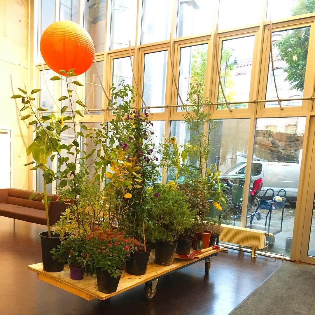 En helt vanlig torsdag på Kunsthøgskolen: De viltvoksende rekvisittene til Nokon kjem til å komme av Jon Fosse trilles inn til scene 1. Neste onsdag, torsdag og fredag spiller studenter i andreklasse, regissert av andreklasse regi, dette stykket, samt Frøken Julie av Strindberg og Bjørnen av Tsjekhov. Se mer og book billetter på KHiO.no Oslo, Instagram Posts, Plants, Velvet, Plant, Planets