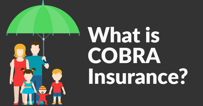 What you need to know about insurance as an Airbnb host Cobra What you need to know about insurance as an Airbnb host Cobra