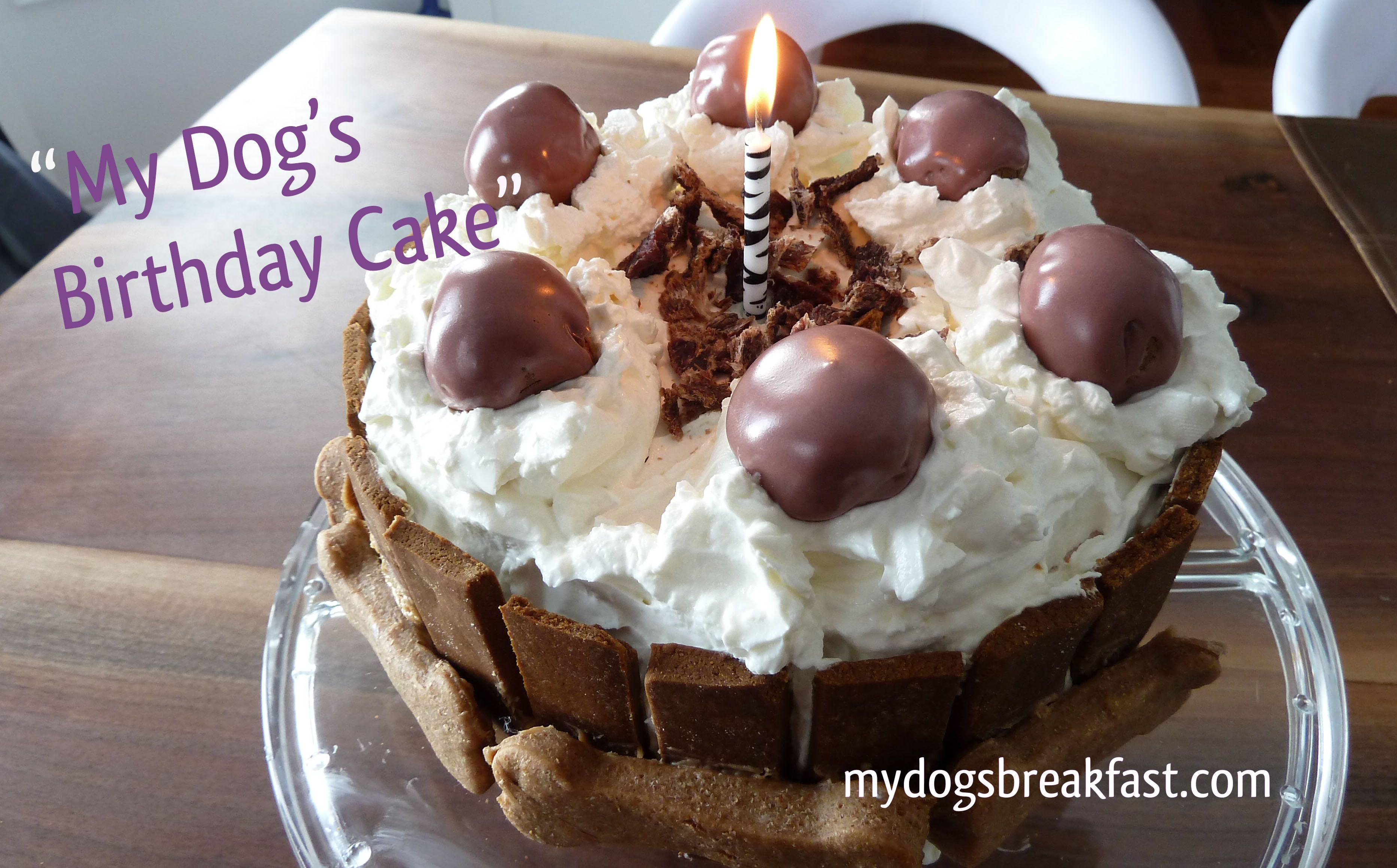 Easy Homemade Dog Birthday Cake Recipe Puppy Approved Easy Homemade Dog Birthday Cake Recipe Puppy Approved