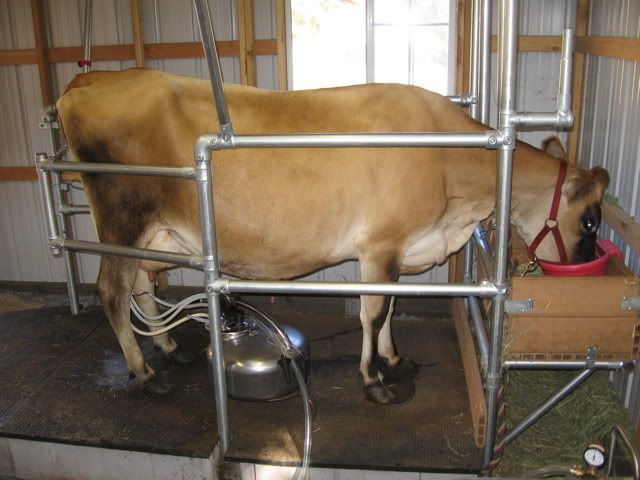 horse and livestock shelters – the cottage works