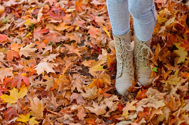 15 Reasons Every College Student Loves November SRtrends Aesthetic